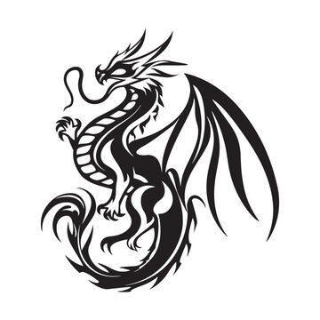Black silhouette Dragon vector image on White Background
