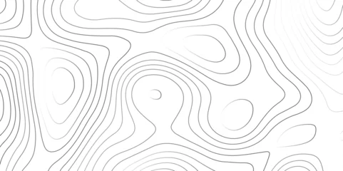 Fotobehang Topographic map curves geographic line map pattern .panorama view gray color wave curve lines .geographic mountain relief abstract grid .the concept map of a conditional geography map background . © VECTOR GALLERY