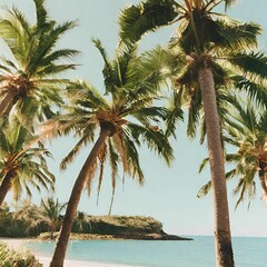  palm trees tropical island beach summer theme - 4