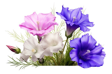 Colorful Bouquet of Flowers in a Vase. On a White or Clear Surface PNG Transparent Background.