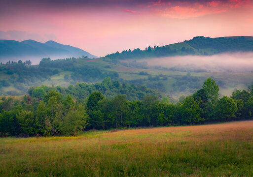 Fantastic summer view of misty rolling hills. Superb morninig scene of Carpathian mountains at June, Ukraine, Europe. Beauty of nature concept background.