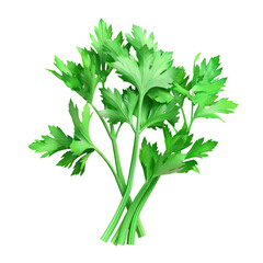 Green leaves close-up on a transparent backdrop