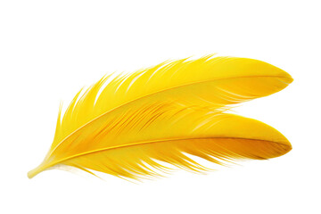 Yellow Feather on White Background. On a White or Clear Surface PNG Transparent Background.