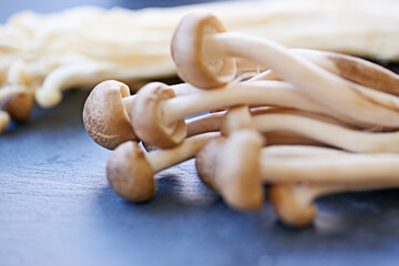 Beech mushrooms, board and preparing in closeup with fibre for protein in healthy diet with...