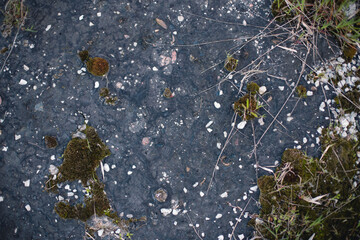 Moss and stones in resin spread on the ground