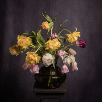 still life with colorful tulip flowers in glass vase in painterly renaissance style