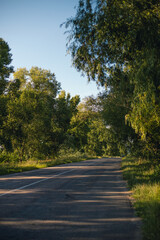 Obraz premium Asphalt road between green trees