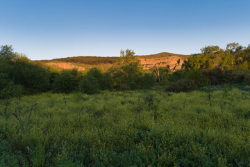 Fototapeta premium landscape, view, nature, sunrise, morning, light, spring, greene