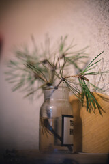 A sprig of fresh pine in a jar