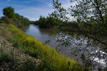 landscape, view, nature, sunrise, morning, light, spring, greene
