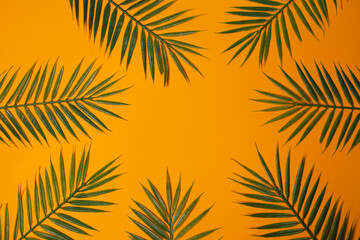 Decorative palm leaves on a yellow background