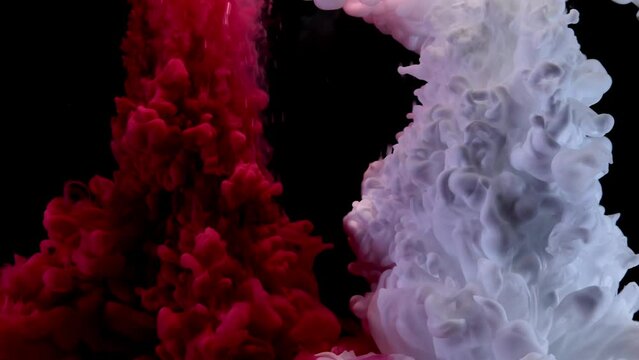 A stunning display of red and white inks merging in water, this short video presents a captivating dance of colors. The stark contrasts and fluid movements offer a rich visual texture.
