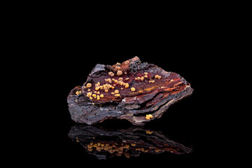 Mimetite on limonite matrix. from El Potosi mine, Santa Eulalia, Chihuahua, Mexico. photography...