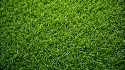 AI-generated illustration of green grass field texture background