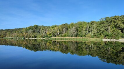 Obraz premium Beautiful view of wood trees reflecting on water lake with blue sky