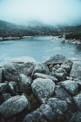 Vertical shot of a blue river flowing in a forest with a pile of rocks in the foreground