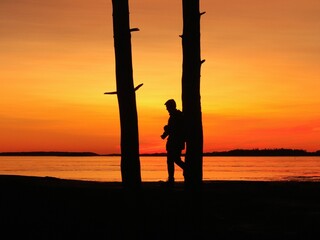 a silhouette of a man standing behind some tall trees on the beach