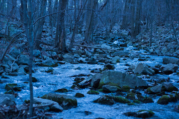 River flowing over rocks with trees