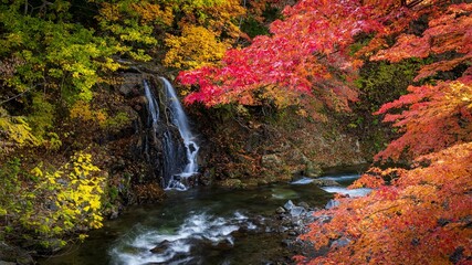 Beautiful waterfall in a forest  during autumn