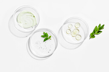 Green plant leaf and beauty products in petri dish - 780413644