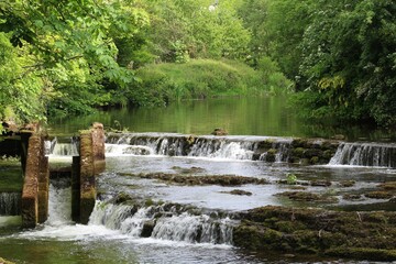 Beautiful shot of the river Brusna surrounded by green trees