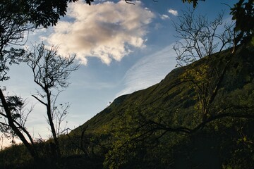 Low-angle shot of a green-covered hill under the blue sky