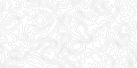 Seamless pattern with lines Topographic map. Geographic mountain relief. Abstract lines background. Contour maps. Vector illustration, Topo contour map on white background, Topographic contour lines
