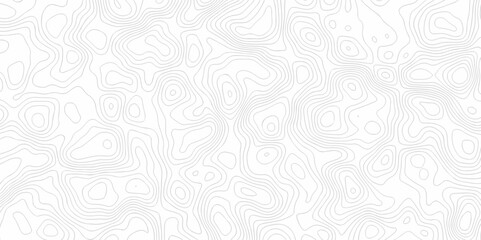 Seamless pattern with lines Topographic map. Geographic mountain relief. Abstract lines background. Contour maps. Vector illustration, Topo contour map on white background, Topographic contour lines