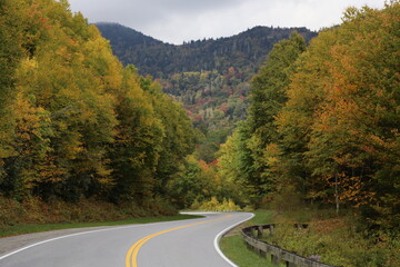 Winding road in a dense autumn forest in mountains