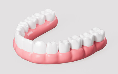 Human tooth model, white teeth, even teeth model, 3d rendering.