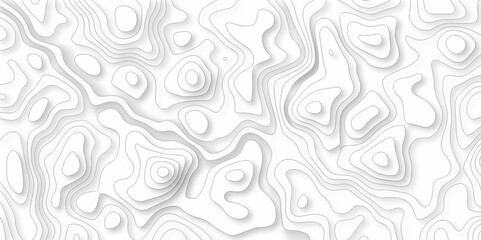 Seamless pattern with lines Topographic map. Geographic mountain relief. Abstract lines background. Contour maps. Vector illustration, Topo contour map on white background, Topographic contour lines