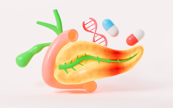 Human pancreas, gall bladder organ model, pancreatitis and drug therapy, 3d rendering.