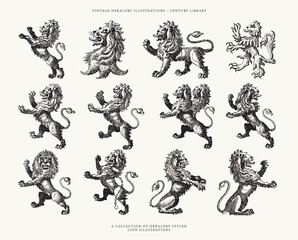Set of Hand Drawn Heraldry Crest Lion Illustrations