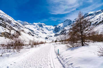 A close-up view of the Morteratsch glacier in winter, Engadin, Switzerland.
