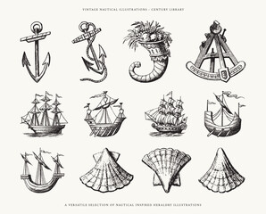 Set of Nautical Design Elements - Ships, Anchor, and Shells