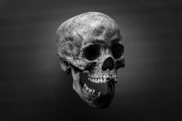 scary gray human skull on a dark background. Black and white photography. the concept of fear and...