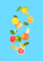 Many different fresh citrus fruits in air on light blue background