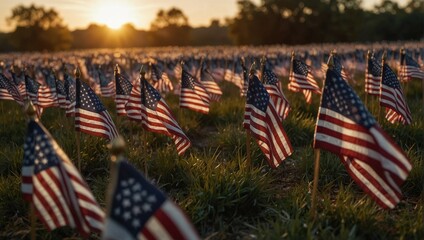 American flags field in the sunset