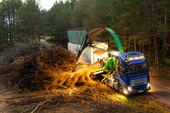 Crane machinery cleaning debris of bare trees in forest