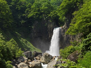 新緑に包まれた滝　苗名滝　妙高市　新潟県