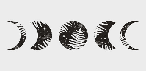 Black floral moon phase vector illustration. Crescent and floral moon vintage logo design.