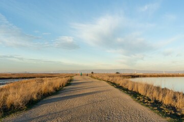 Sandy road surrounded by river under a blue sky at daytime