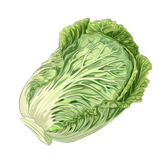 Fototapeta premium A close up of a green leafy vegetable on a Transparent Background