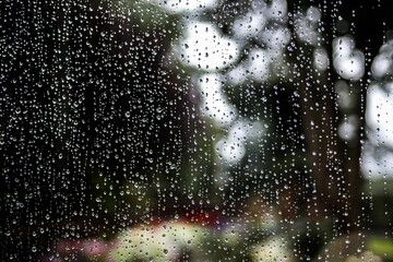Closeup shot of water droplets of rain on a garden window