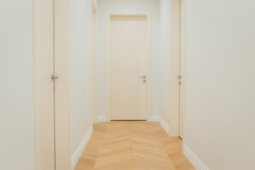 Entrance door in apartment  in modern interior
