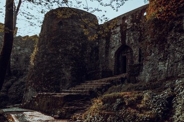 Old abandoned castle covered with plants on a sunny day