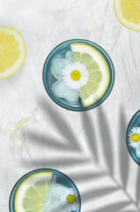 Drinks decorated with flowers and lemon slices with a shadow of big, exotic leaf, summertime.