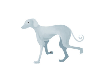 Obraz na płótnie Canvas Chinese zodiac - dog