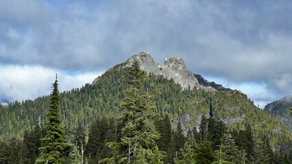 Aerial view of a beautiful forest near the mountains in Vancouver, Canada