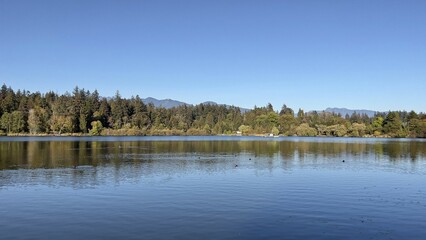 Beautiful view of the lake near the forest in Vancouver, Canada